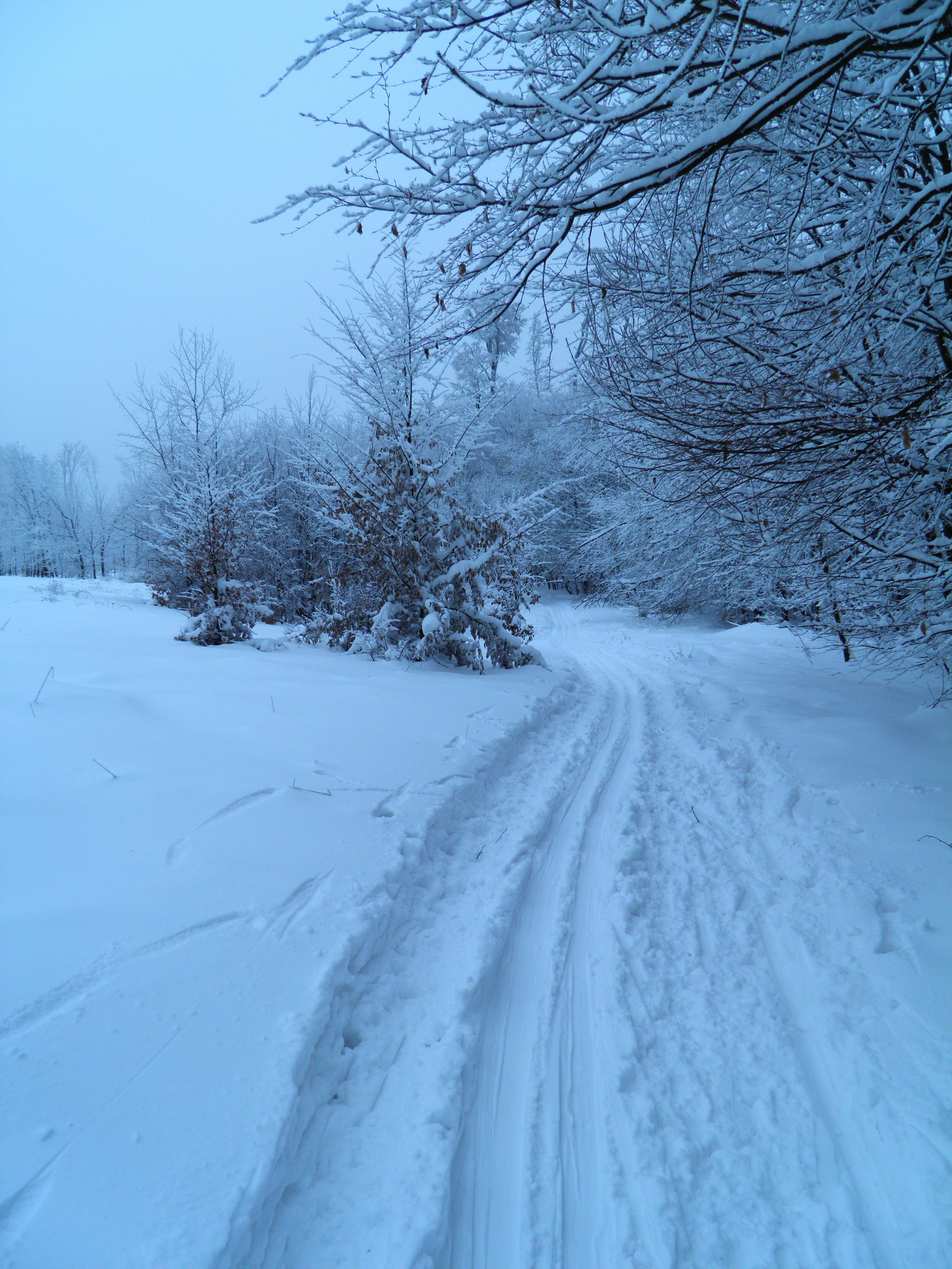 2 km za Malým Javorníkom v MK, 550 m n.m., 35 cm snehu