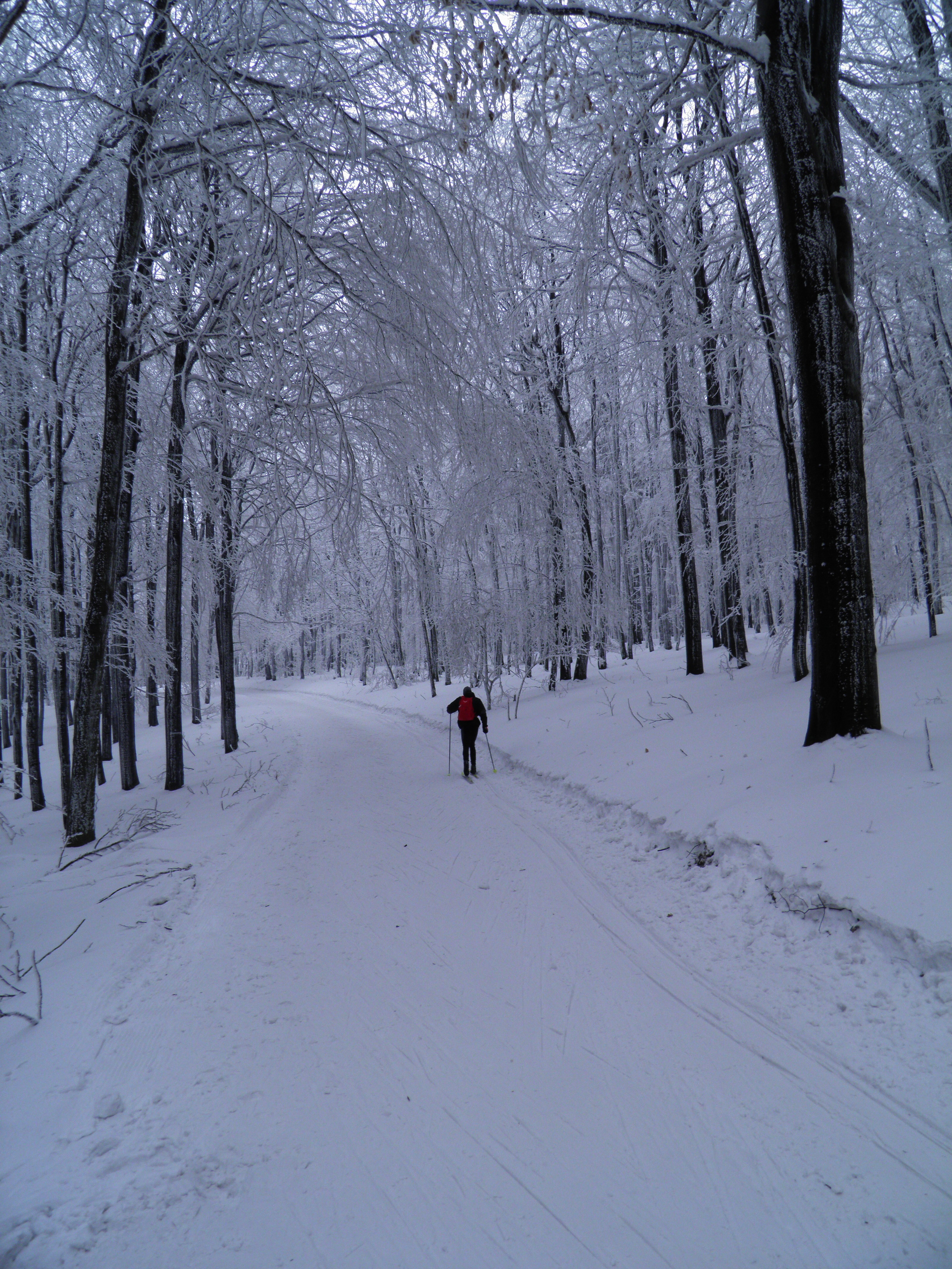 Okruh na Pezinskej Babe B 27.I.2013, 550 m n.m., 35-40 cm snehu