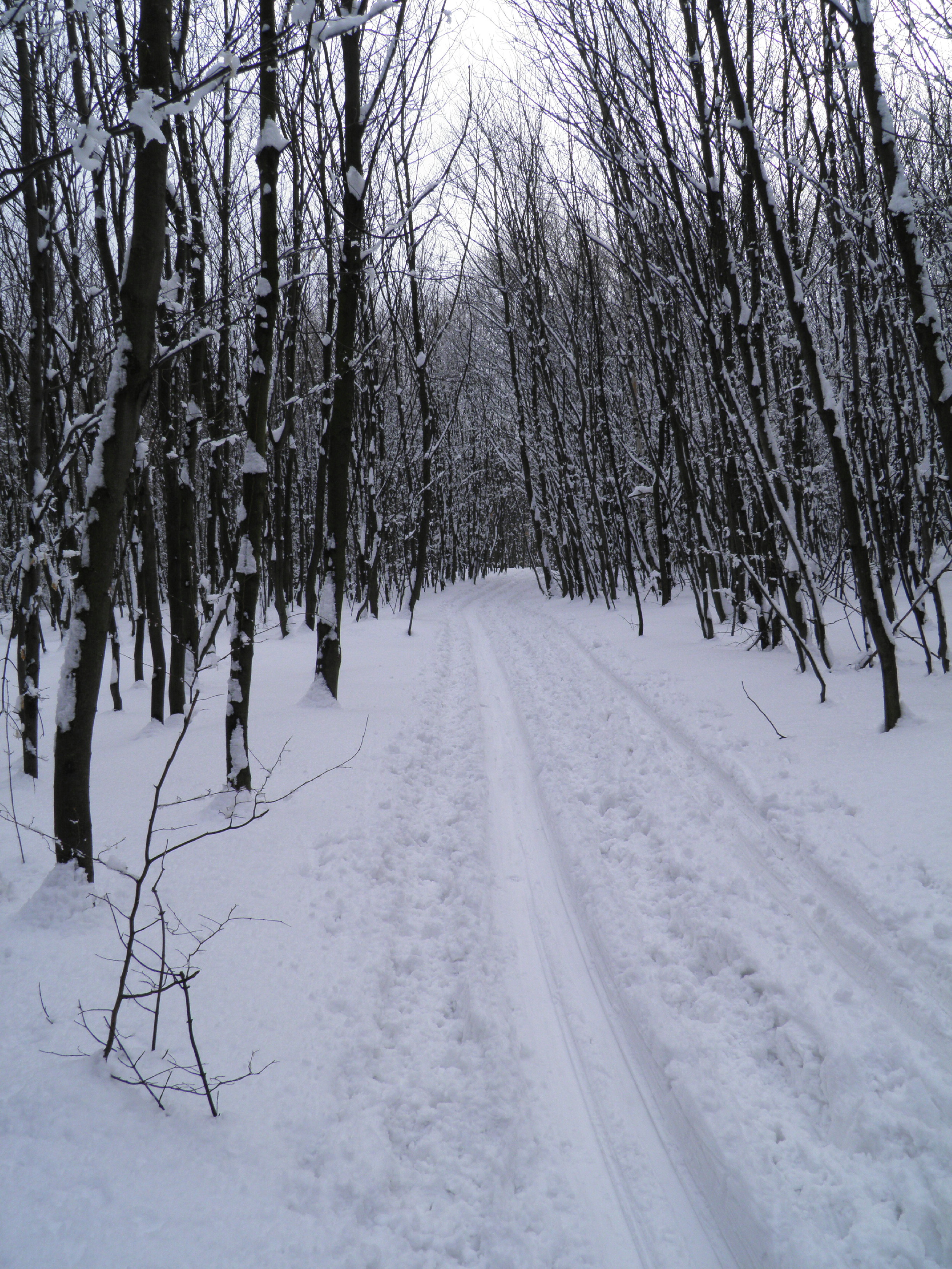 Hrebeň MK, 17.II.2013, 1 km za Malým Javorníkom, 550 m n.m., 55 cm snehu