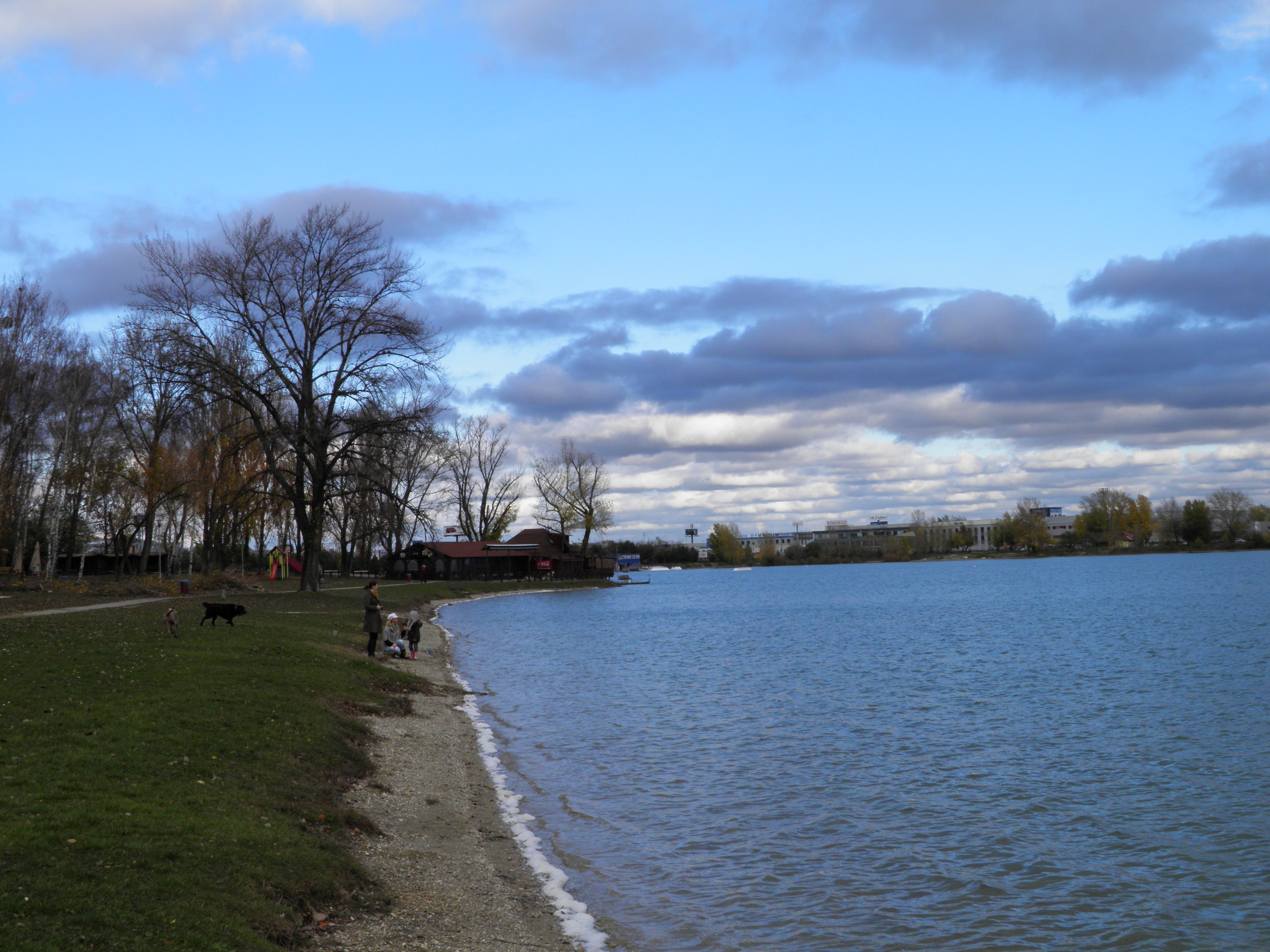 Na jazere Zlaté Piesky v Bratislave 10.XI.2013, Tvo 11,4 °C