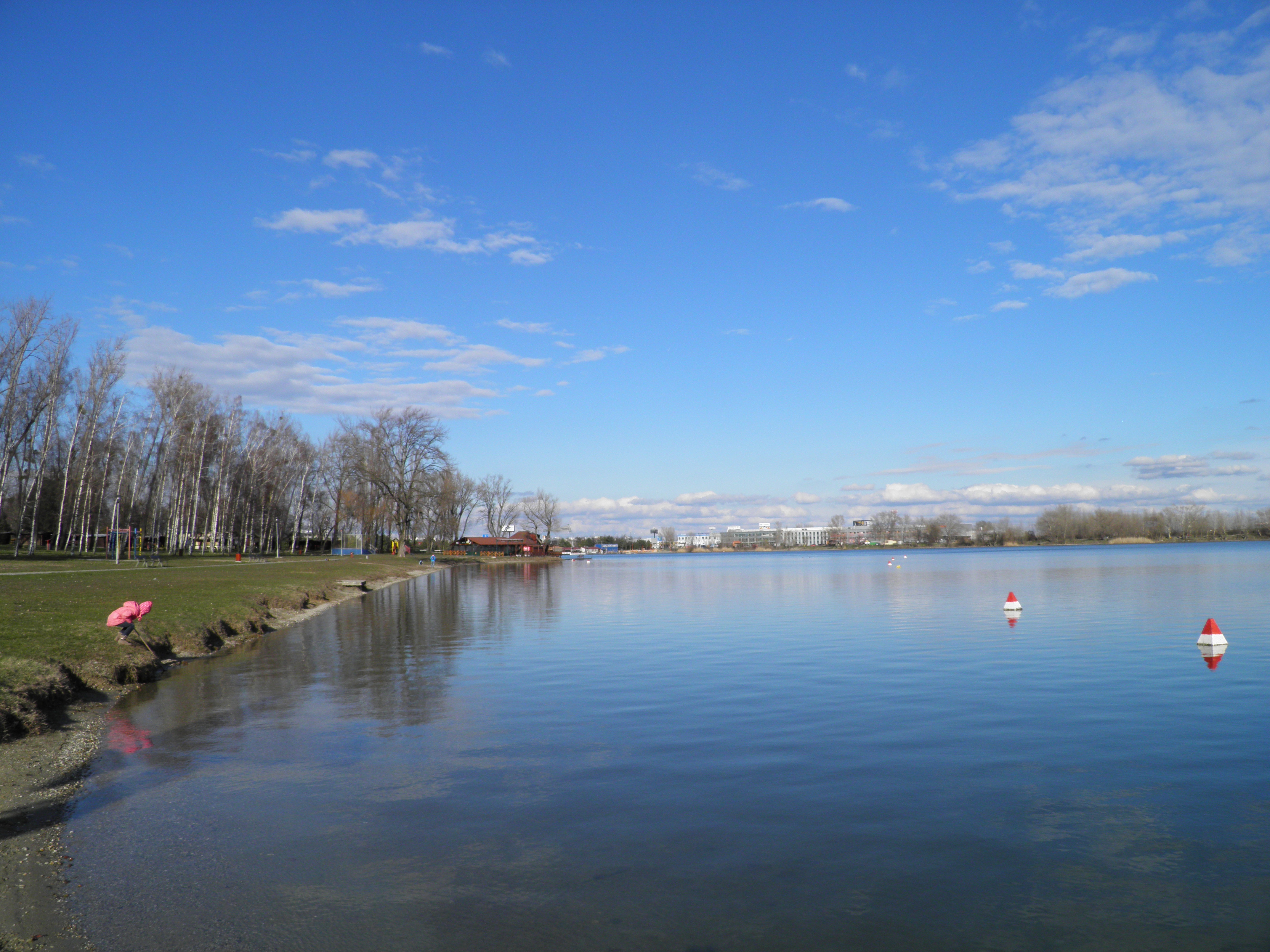 Na jazere Zlaté piesky pri Bratislave 6.III.2016, o 15. h. Tvo 6,1 °C, Tvz 10 °C.