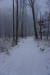 Za Bielym Krížom smerom na Malý Javorník, 2.XII.2018, 7 cm snehu