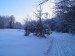 2 km za Malým Javorníkom v MK, 26.I.2013, 550 m n.m, 40 cm snehu