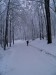 Okruh na Pezinskej Babe B 27.I.2013, 550 m n.m., 35-40 cm snehu