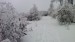 Na hrebeni Malých Karpát, 1.II.2014, asi 600 m n.m., 6 cm snehu