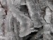 Detail ľadovej námrazy, 29.XI.2014, pri Bielom Kríži