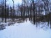 Sneh v Malých Karpatoch, za Bielym Krížom k Malému Javorníku, 24.I.2016, 13 cm