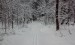 Na hrebeni Veľkej Javoriny v Bielych Karpatoch, 30 cm snehu, 12.II.2016