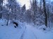 Haluzického chodník nad Račou, 350 m n.m., 20 cm snehu, podmienky na bežky obmedzené